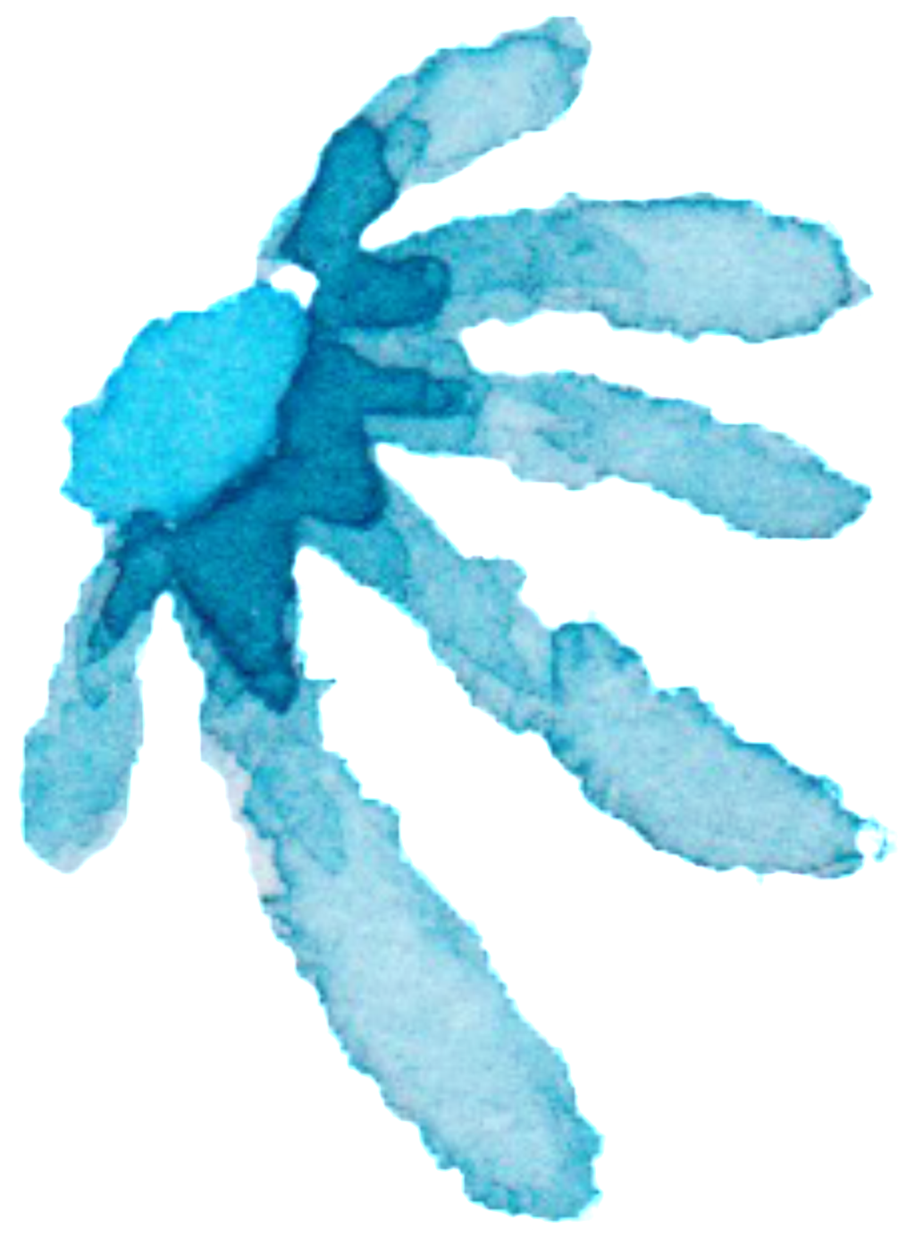 Cartoon (1024x1394), Png Download