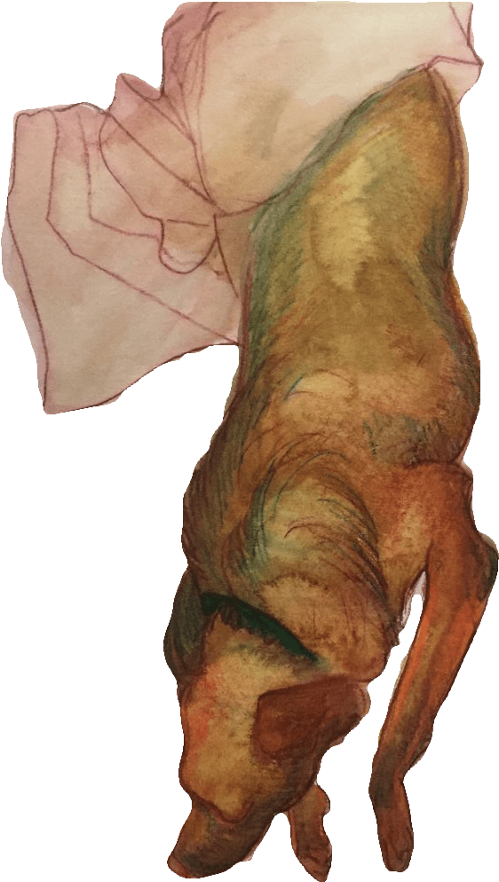 Stacy, August - Artist (810x1079), Png Download