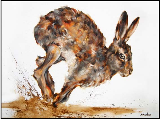 Swamp Rabbit (646x381), Png Download