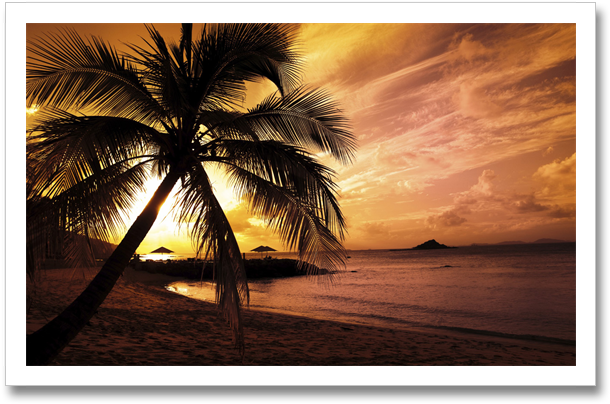 A Blog Post From The Other Side - Seaside Wall Mural - Sunset Palm Tree (630x423), Png Download