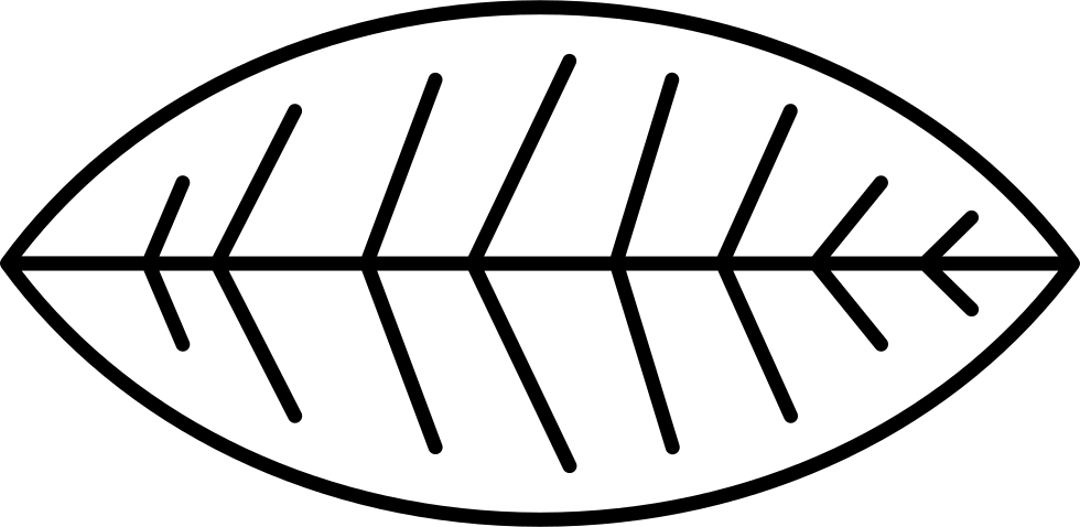 Leaf Of A Bush Comments - Vector Graphics (980x478), Png Download