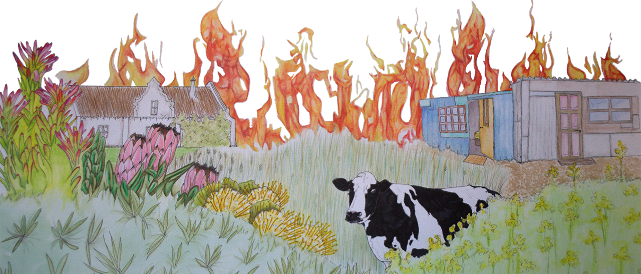 Wildfire (1280x547), Png Download