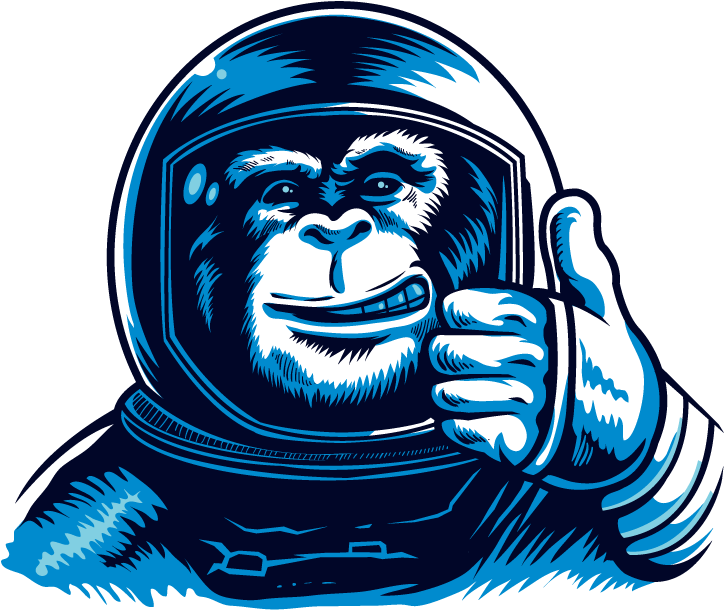 Monkey (800x694), Png Download