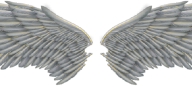 Angel Wings Png - Transparent Angel Wing Png (640x480), Png Download