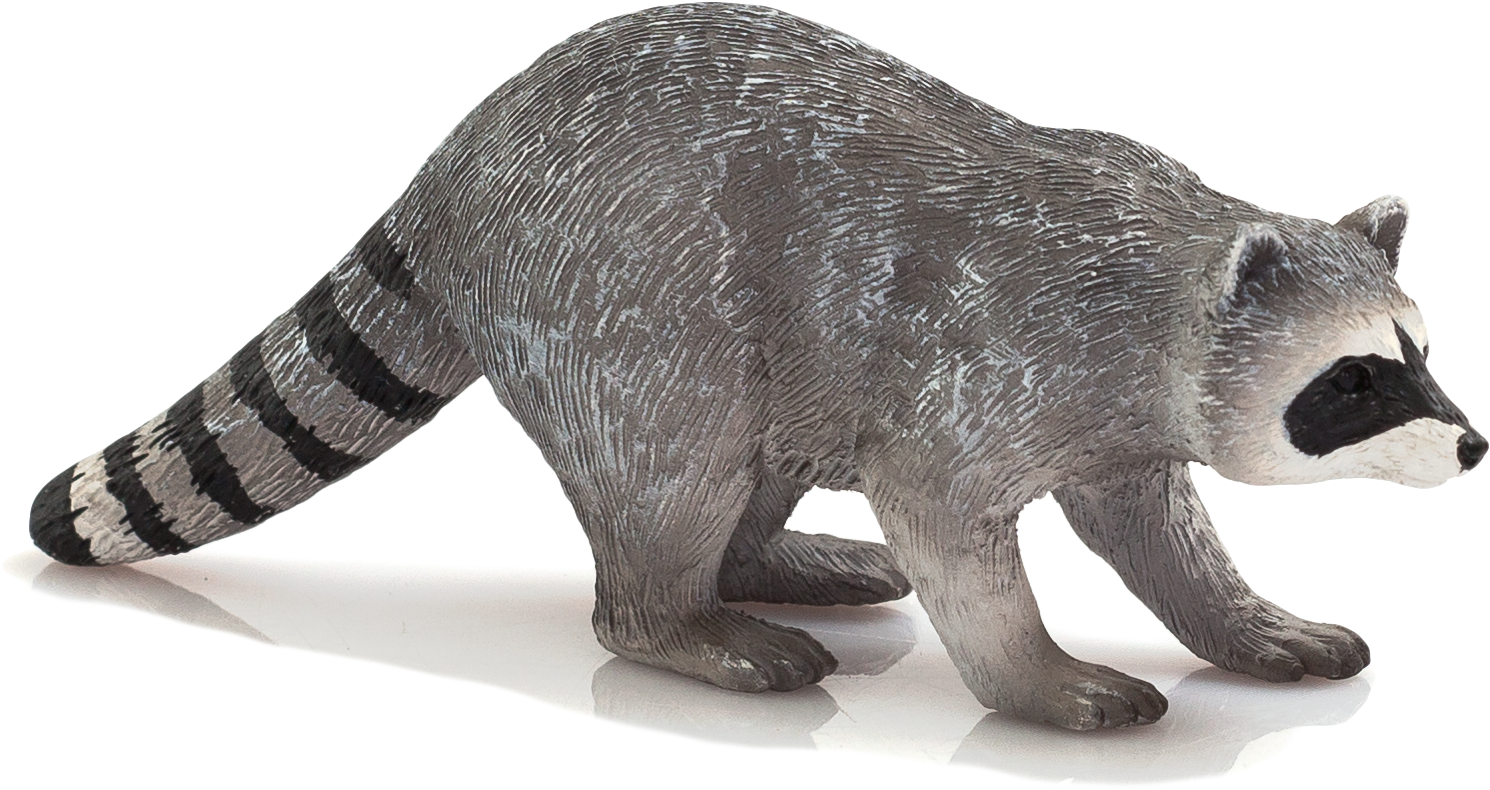 Raccoon Png Transparent Image - Mojo Raccoon (2074x1383), Png Download