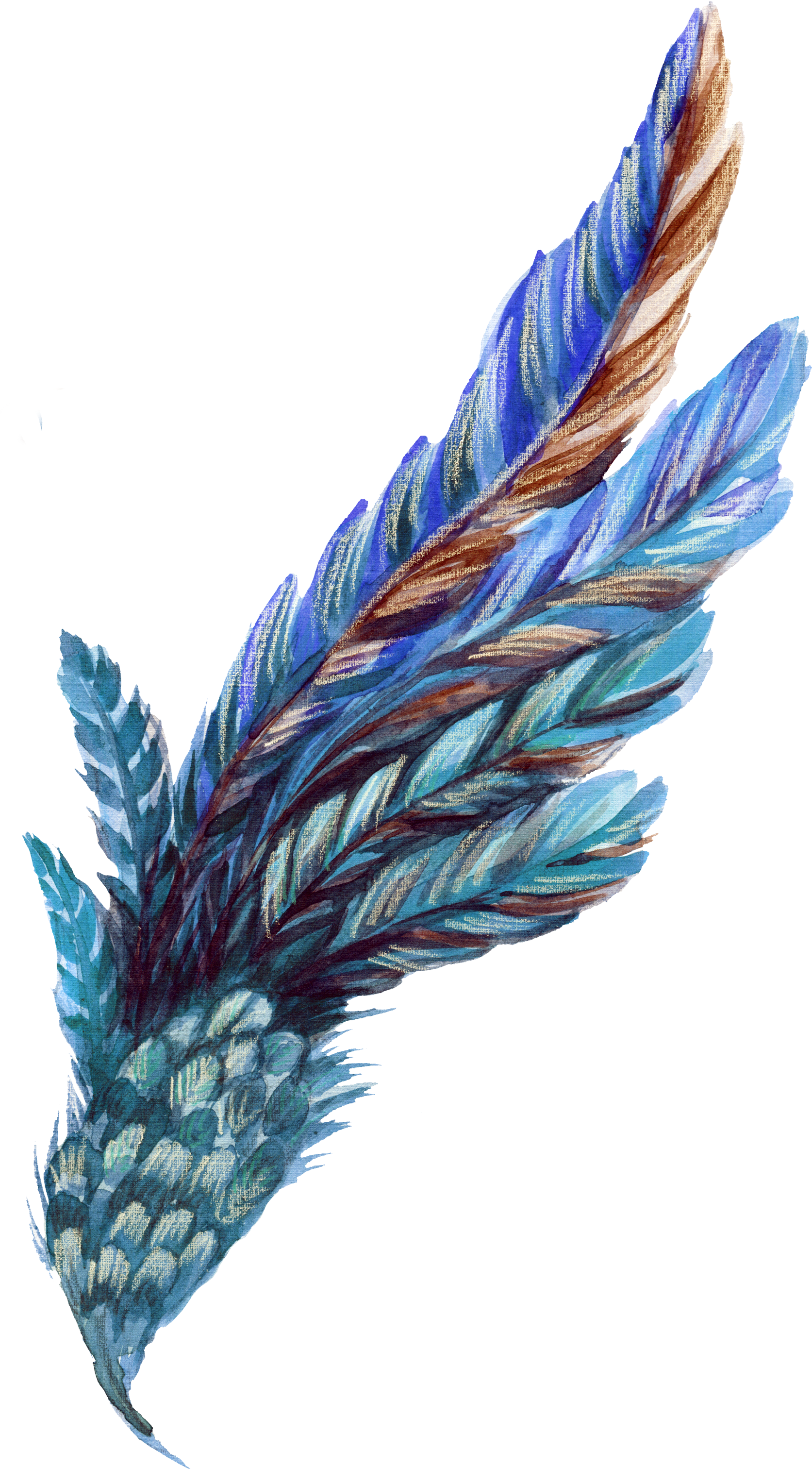 Blue Feather Png (1721x3040), Png Download