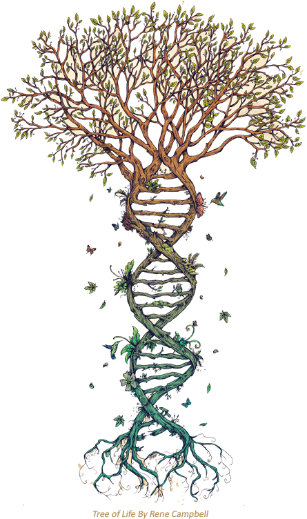 ¿qué Es Nayana Yoga - Family Tree With Roots (444x788), Png Download