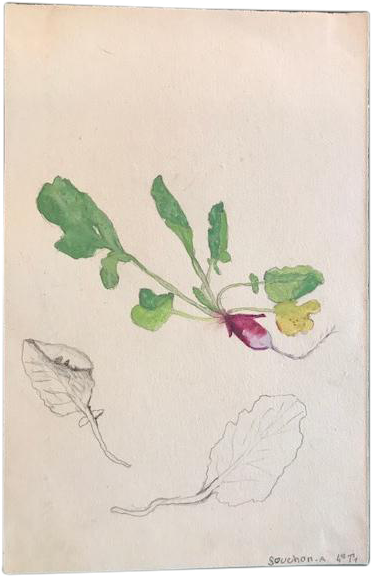 Watercolor - Sketch (411x639), Png Download