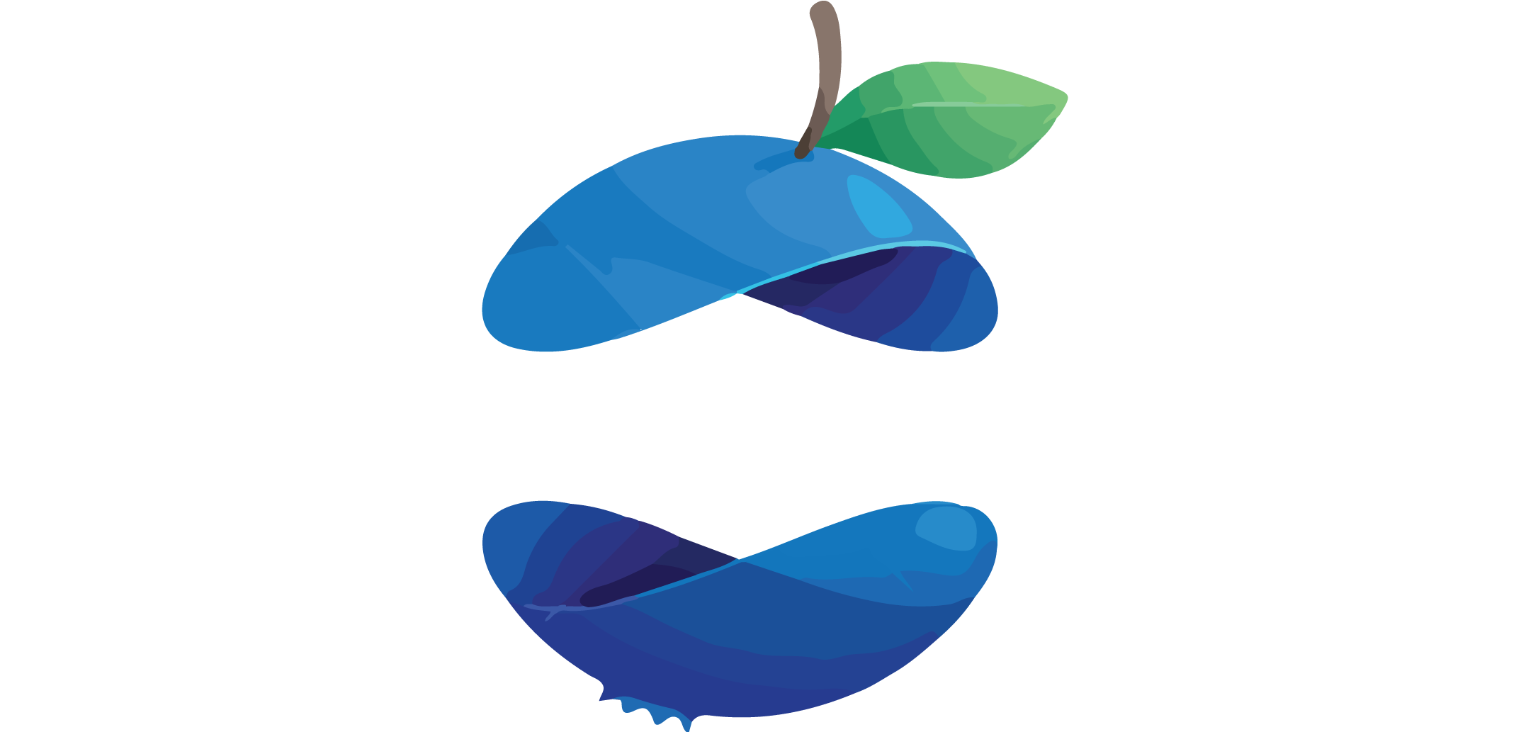 Bettys Blueberry Farm Logo Blueberry Full Size Png Download Seekpng