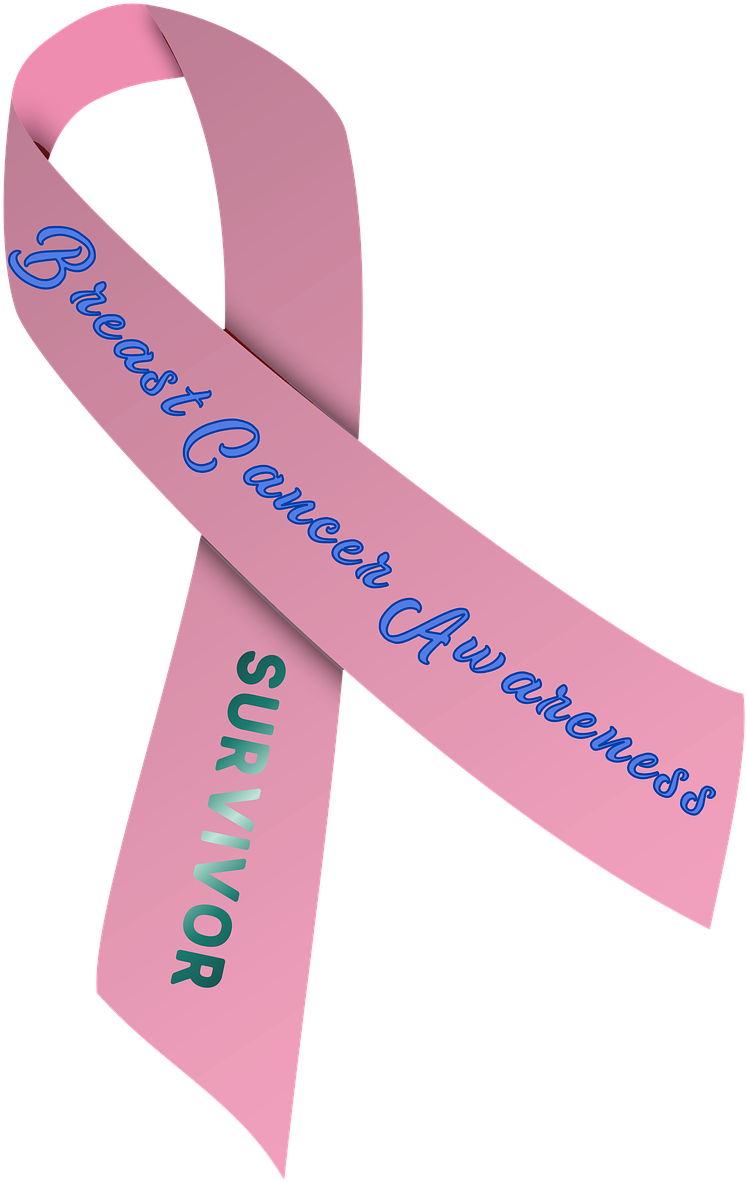 Ribbon,breast Cancer, - Pink And Purple Ribbon (856x1280), Png Download