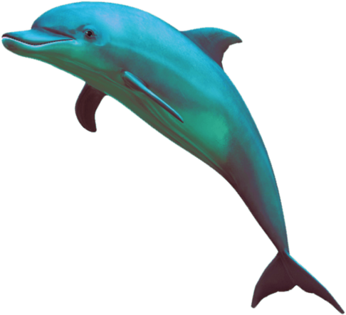 63 Images About Sea On We Heart It - Vaporwave Dolphin Png (500x500), Png Download