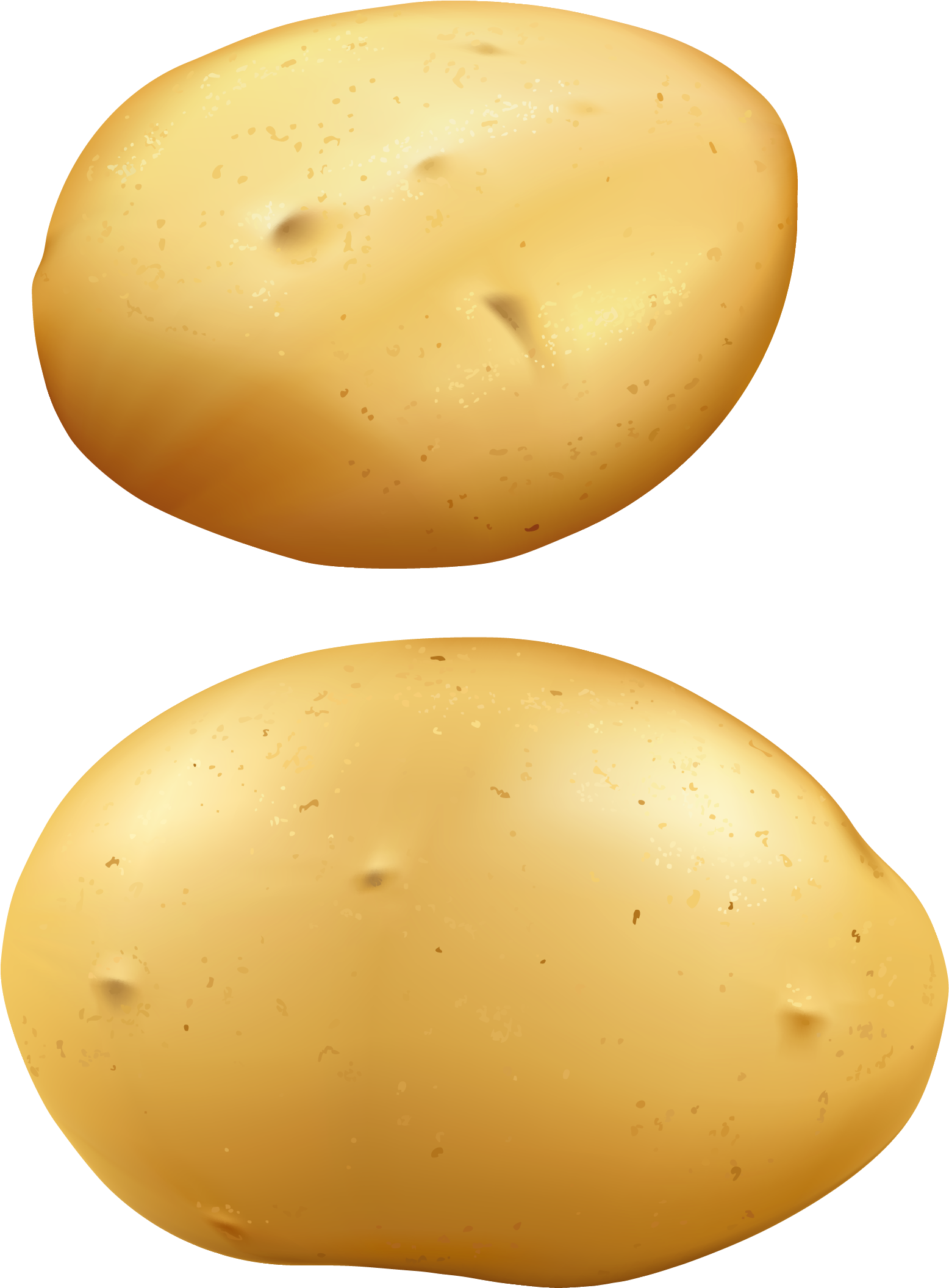 Potatoes Clipart (1631x2182), Png Download