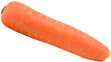 Carrot - Kindersay - Carrot Transparent (445x355), Png Download