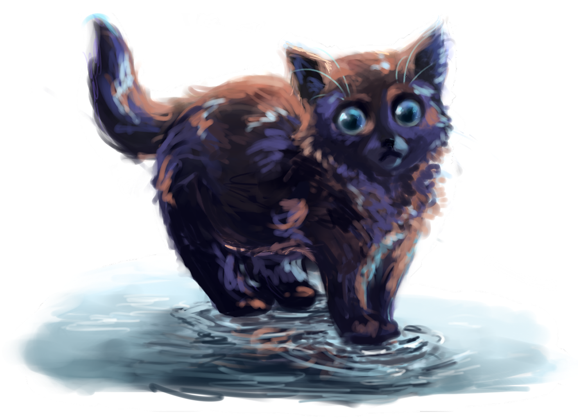 1 Reply 5 Retweets 17 Likes - Kitten (1200x864), Png Download