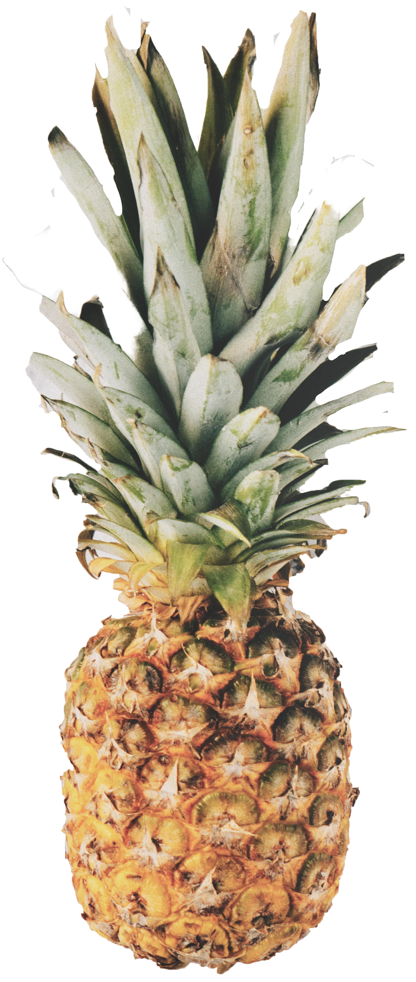Pineapple Screensaver (2728x3930), Png Download