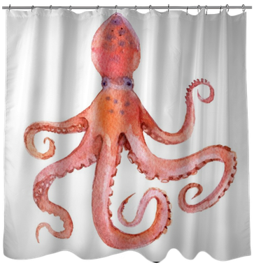 Octopus Isolated On White Background, Watercolor Illustration - Octopus (400x400), Png Download