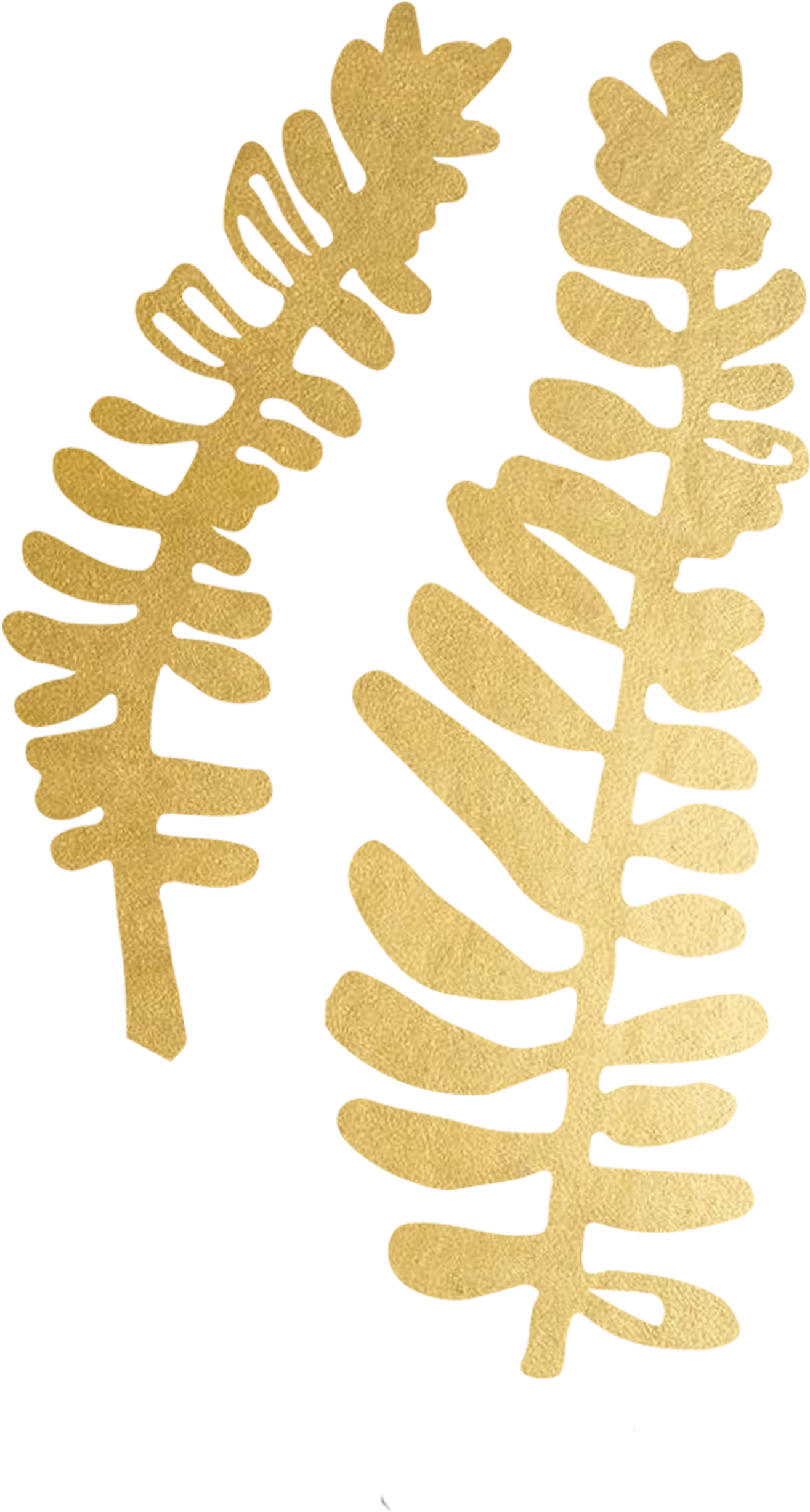 Tattly Bunke Lotta Jansdotter 00 V=1532012750 - C.r. Gibson 16 Count Boxed Notes, Bunke (cn62-12878) (3000x3000), Png Download