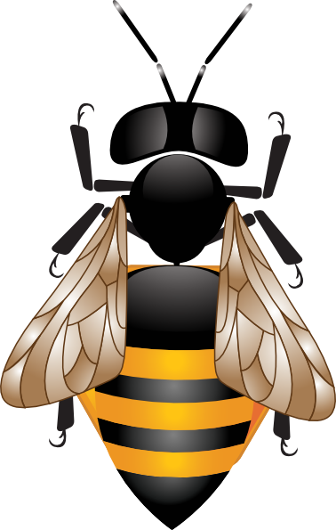 Bee Hd Svg Clip Arts 378 X 595 Px (378x595), Png Download