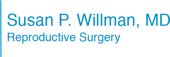 Bay Area Fertility Doctor Logo, Dr - Simplon Norm Free Download (592x207), Png Download