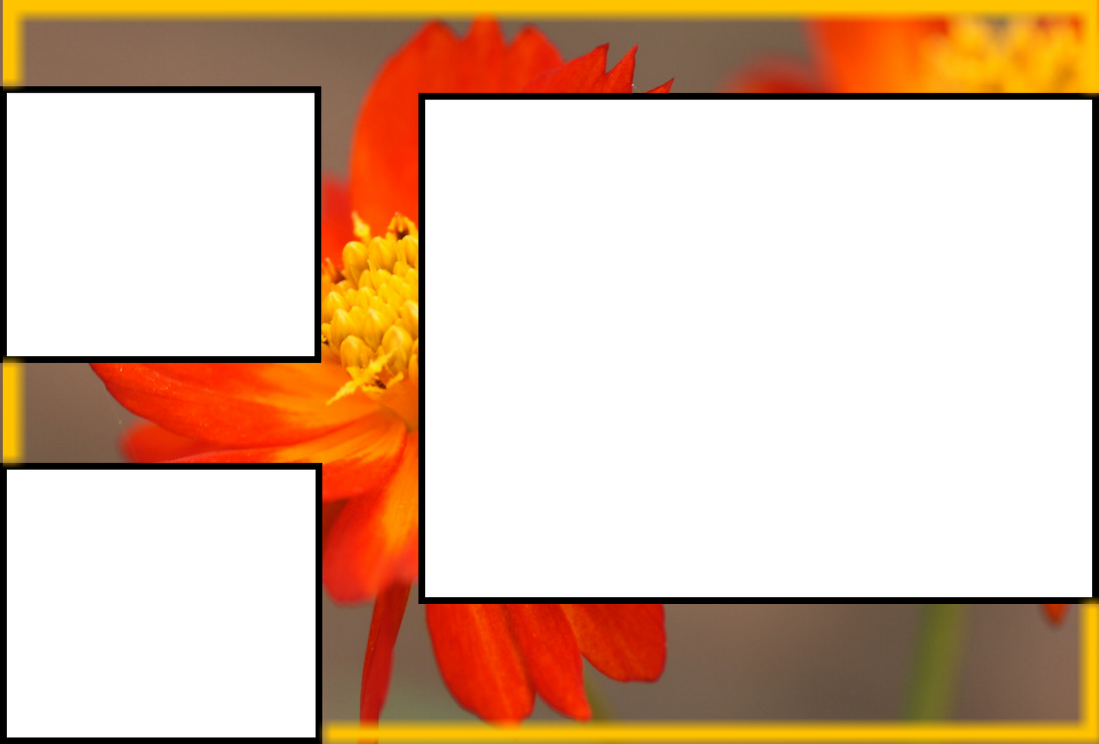 Love Picture Frames - Png Hd Birthday Farem (1600x1084), Png Download