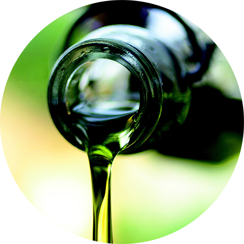 Olive Oil (504x504), Png Download