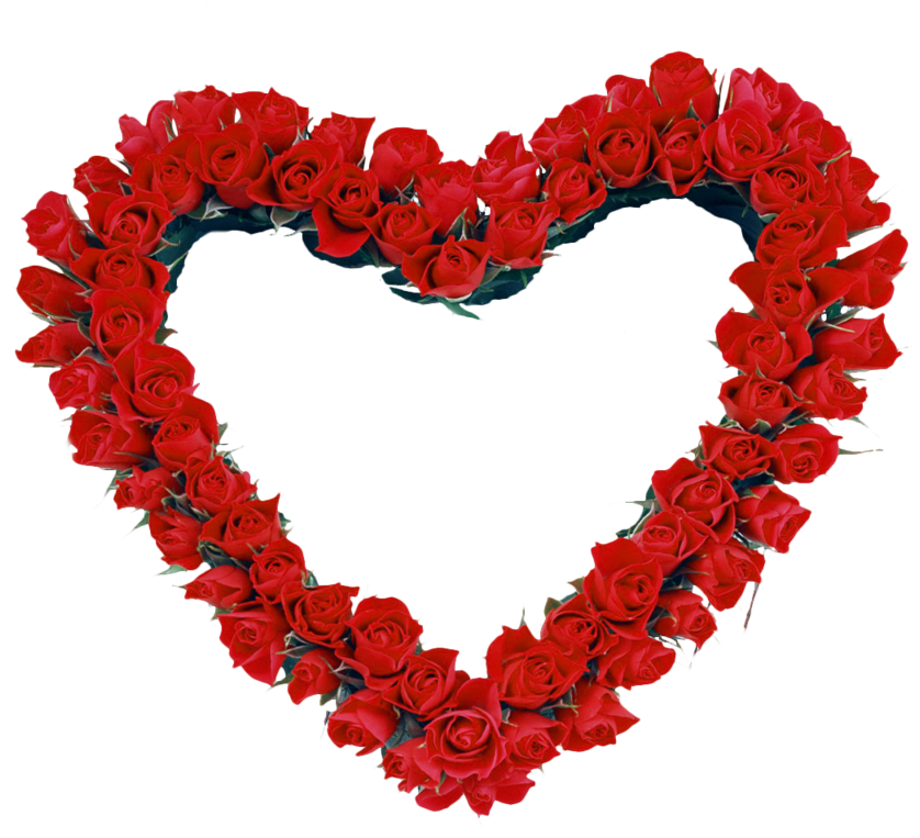 Download Red Heart Roses Transparent Hearts Frame Black And - Rose ...
