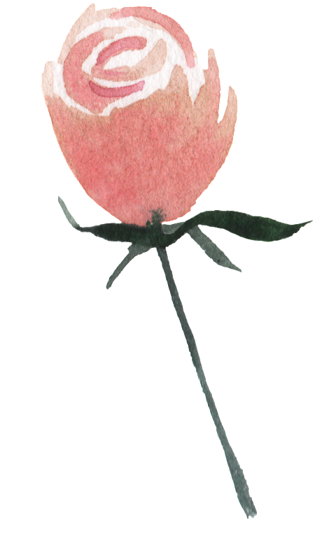 Pink Flowers Watercolor Hand Painted Transparent - Watercolor Painting (1024x1406), Png Download