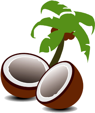 Cartoon Palm Trees (480x480), Png Download