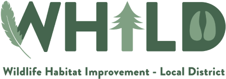 Past Logo Clients - Graphic Design (500x400), Png Download