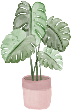 Plants - Portable Network Graphics (296x409), Png Download