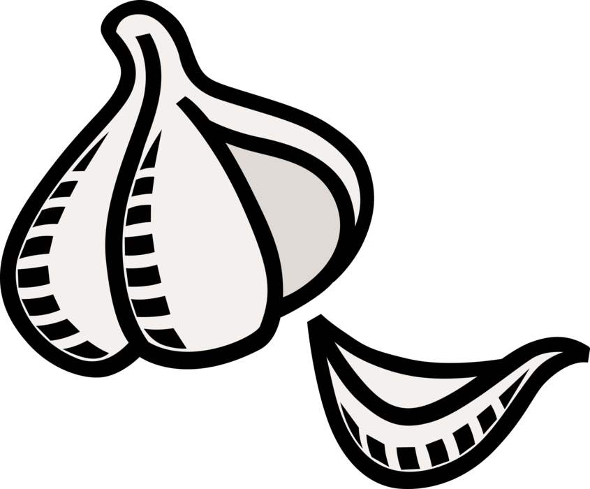 Vector Illustration Of Edible Pungent Culinary Bulb - Garlic (845x700), Png Download