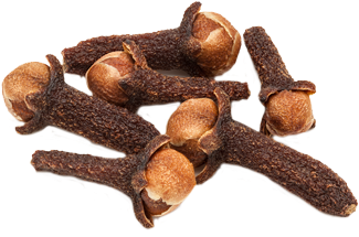 Clove - Clou De Girofle (400x301), Png Download