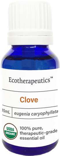Clove - Organic Essential Oil By Ecotherapeutics - Organic (600x600), Png Download
