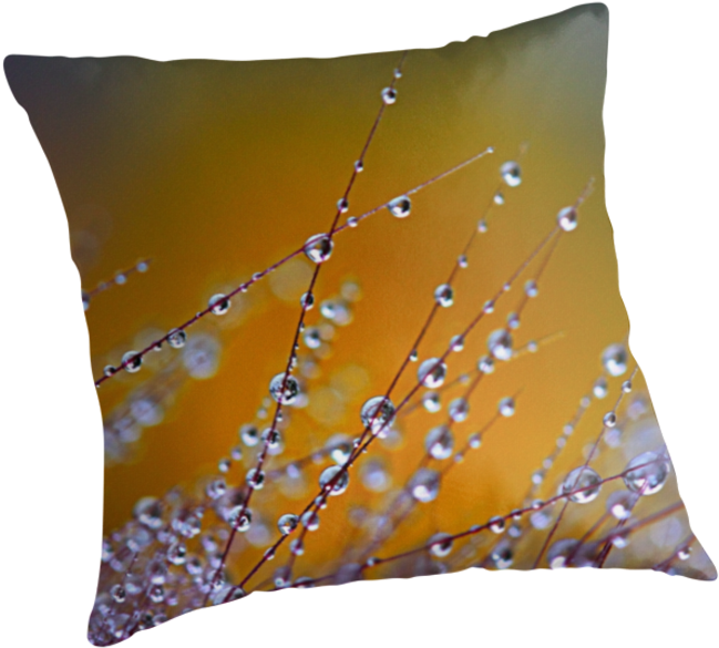 Fountain Grass Png Download " - Hogwarts School Of Witchcraft And Wizardry (875x875), Png Download