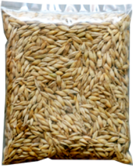 Jau Barley Grain - Grain (500x500), Png Download
