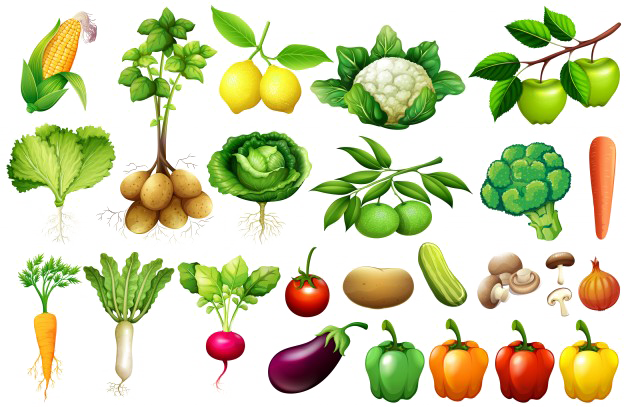 Vegetable Png Background Image - Transparent Background Vegetables Png (626x407), Png Download