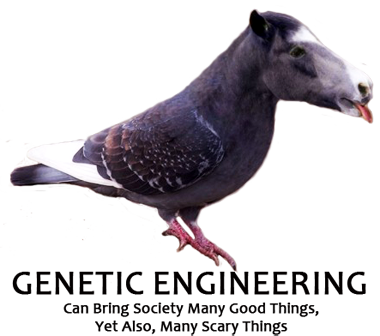Drawn Pidgeons Bird Base - Half Pigeon Half Horse (380x336), Png Download