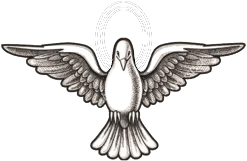 White Pigeon Marine Services - 7 Dones Del Espiritu Santo Animadas (500x326), Png Download