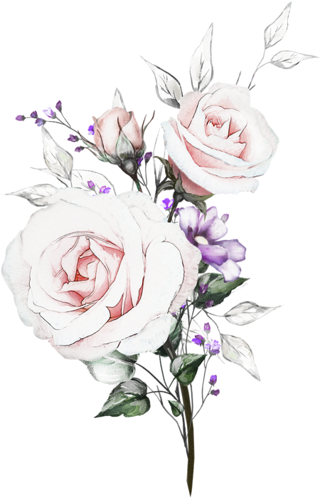 Flower (566x800), Png Download
