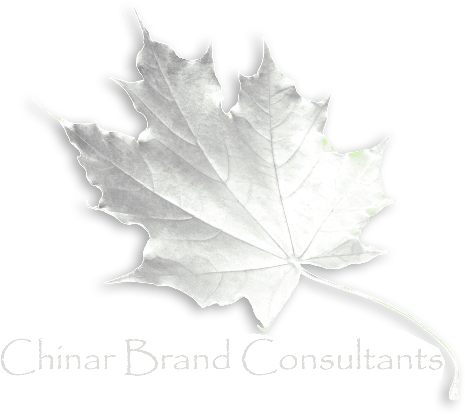Logo Chinar025 - Beyond By Christine R Prost 9781493184682 (paperback) (1605x1403), Png Download