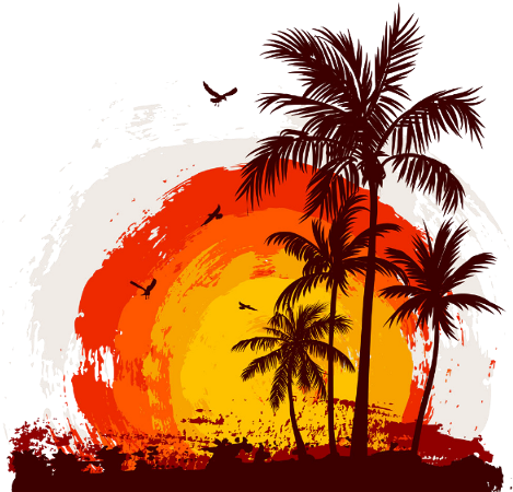 Backwater, Florida (florida Books) (480x480), Png Download