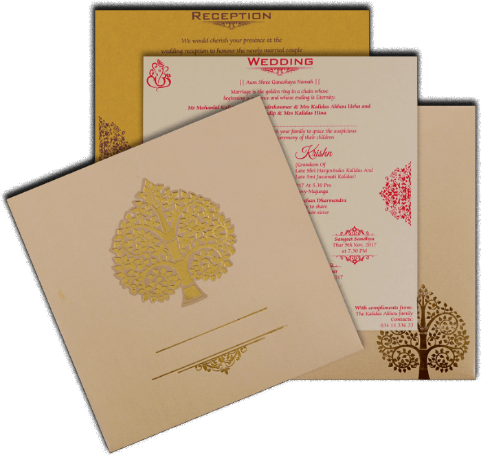 Hindu Wedding Cards - Envelope (700x700), Png Download