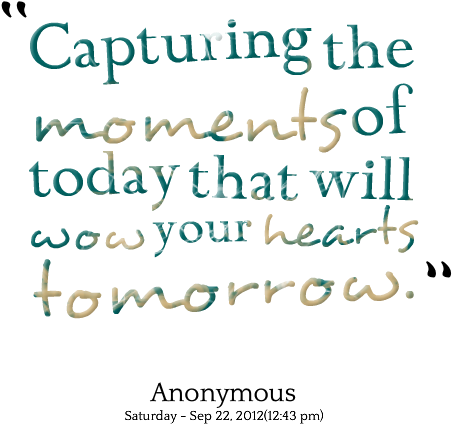 Photography Quotes About Moments - We Capture Moments Quotes (500x480), Png Download