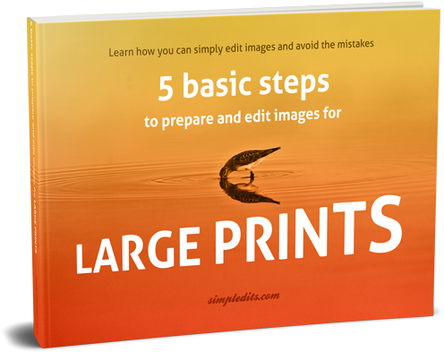 Free Photo Editing Ebook 5 Simple Steps - Fight For Beauty By Westbank (500x402), Png Download