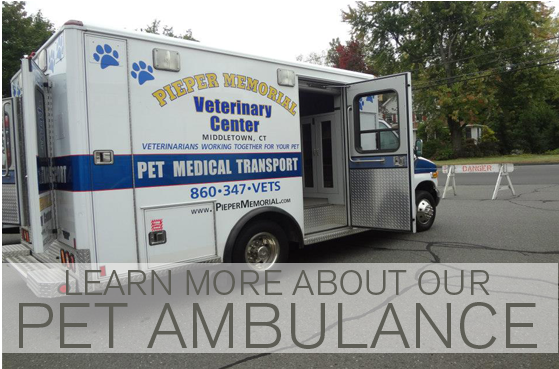 Ambulance-608x480 - Commercial Vehicle (608x480), Png Download