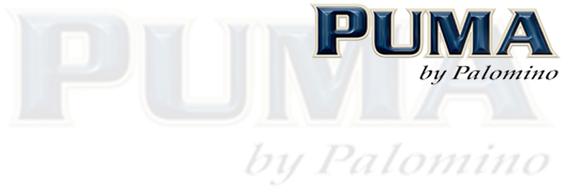 Puma-headline - Partes De La Noticia (1604x477), Png Download