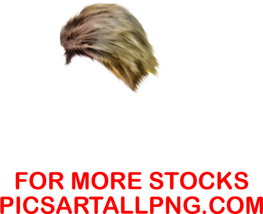 Hd Cb Hair Png,hair Png,picsartallpng - Hair Png For Picsart (1424x1080), Png Download