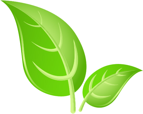 Green Leaves Png Hd Images - Green Leaf (800x566), Png Download