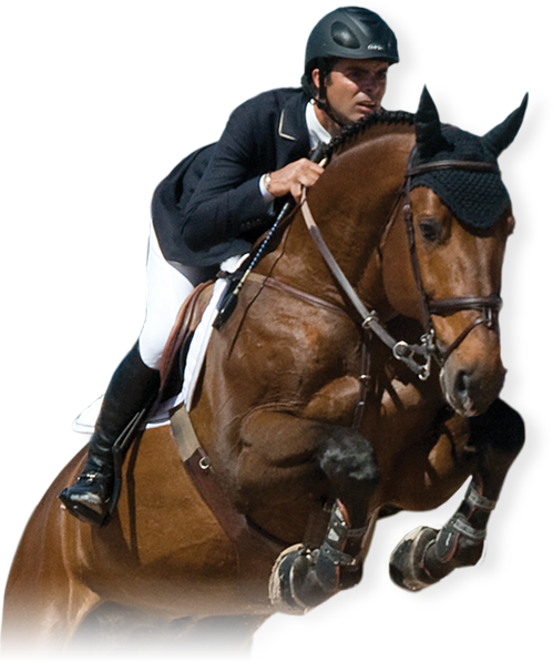 Rider - Horse And Rider (499x597), Png Download