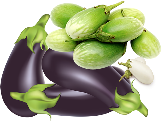 It Also Helps Prevent Calcification Of The Arteries, - Eggplants Clipart (542x405), Png Download